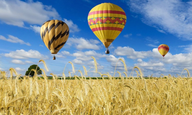 Ilustracija baloni iznad Krčedinske Ade